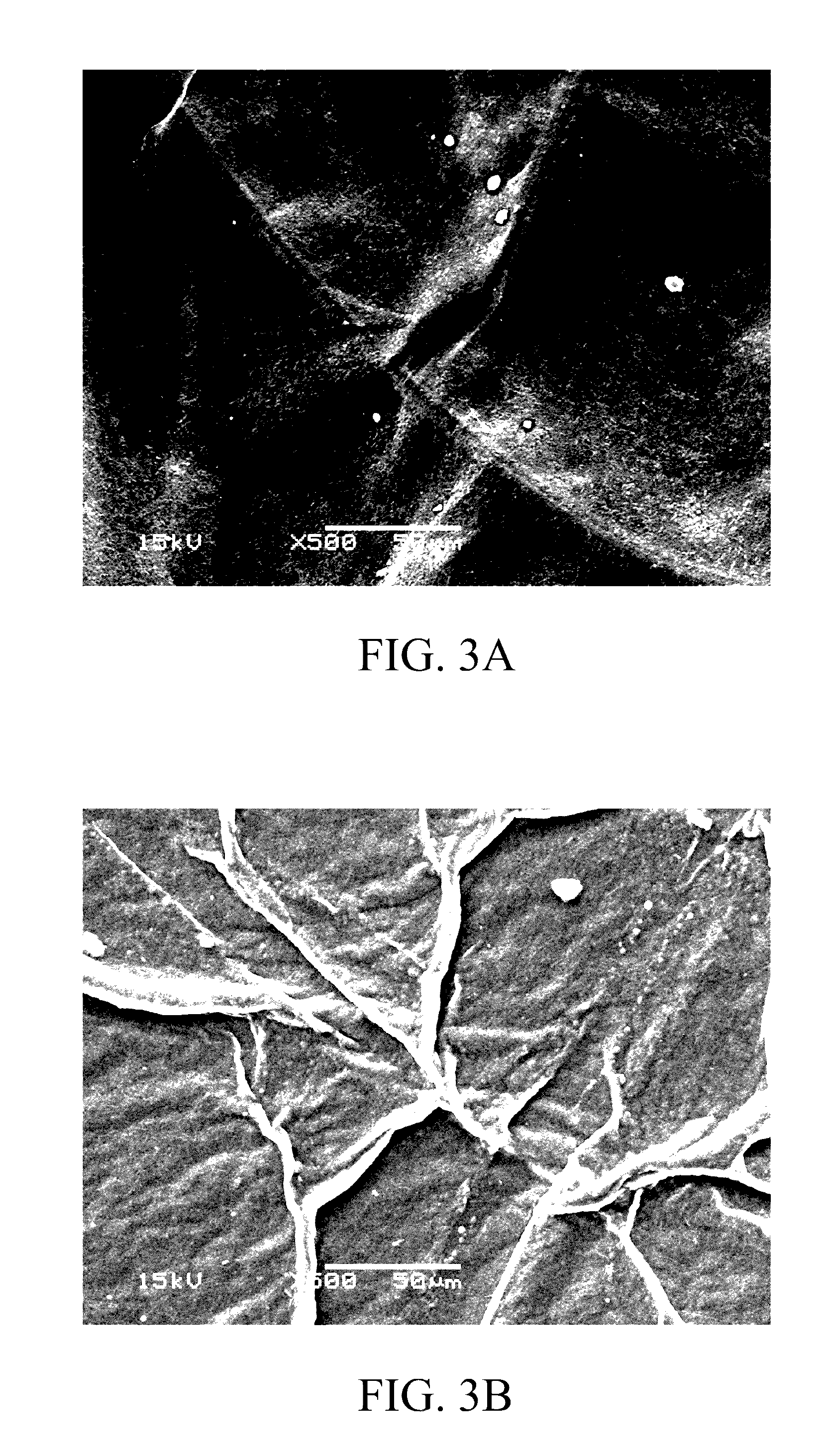 Biological fiber composite dressing