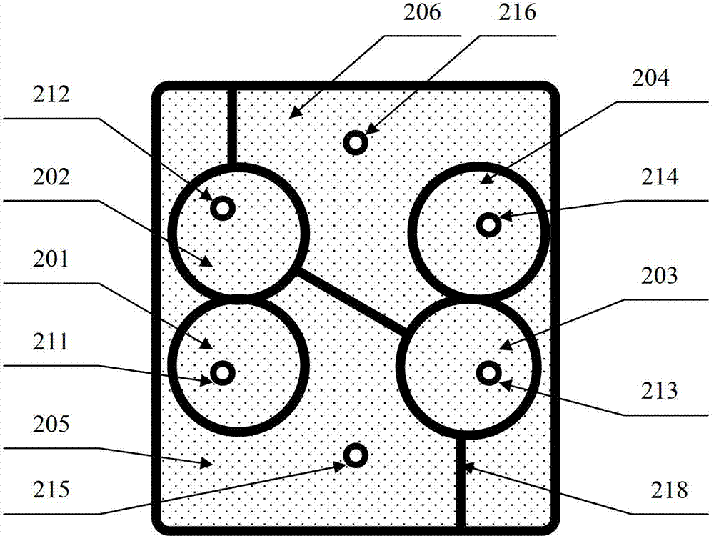 Microfluidic time-resolved fluorescence immunoassay device and application thereof