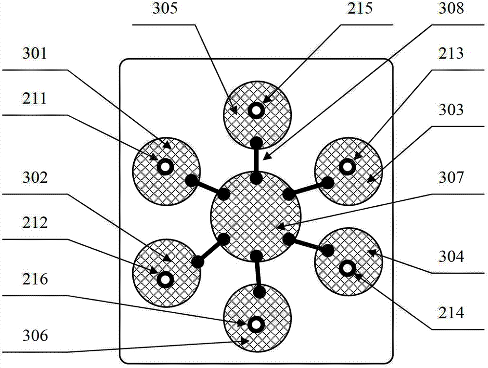 Microfluidic time-resolved fluorescence immunoassay device and application thereof