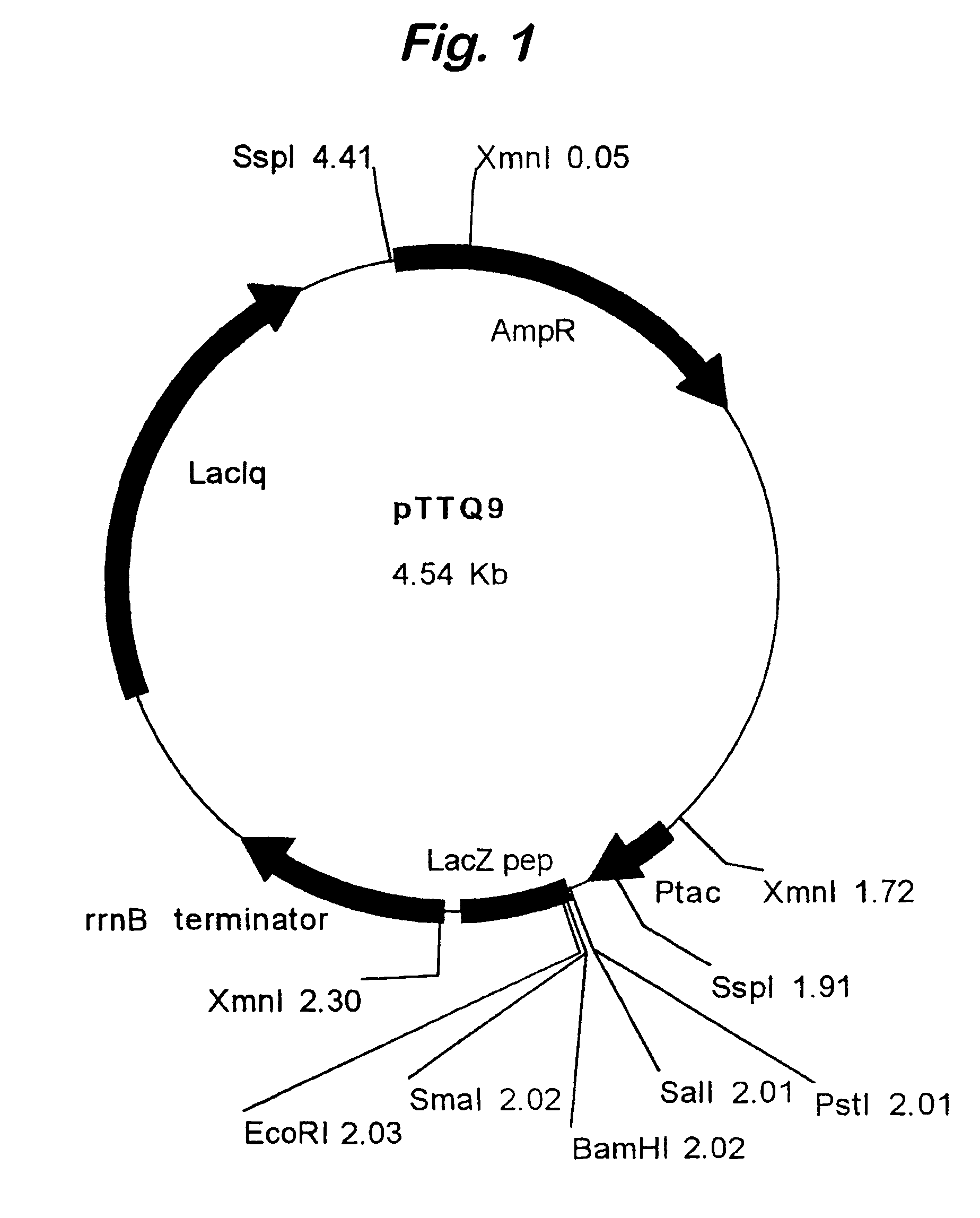 Expression control using variable intergenic sequences