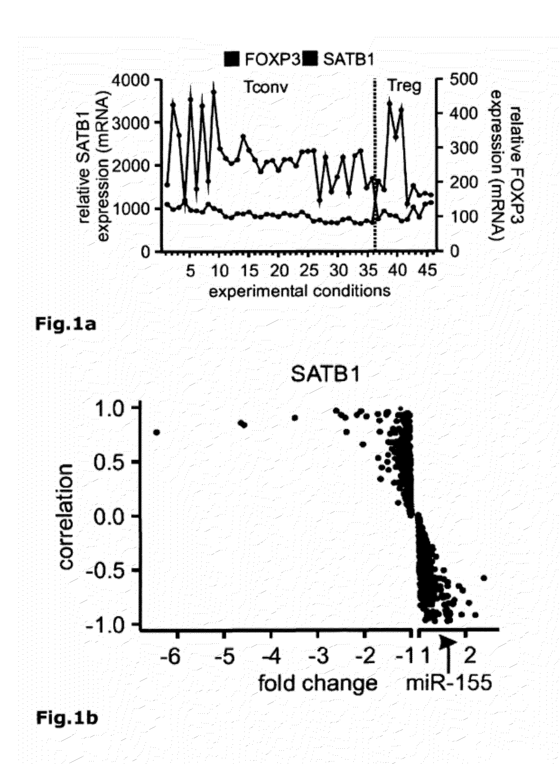 Identification of regulatory t cells via the global gene regulator satb1