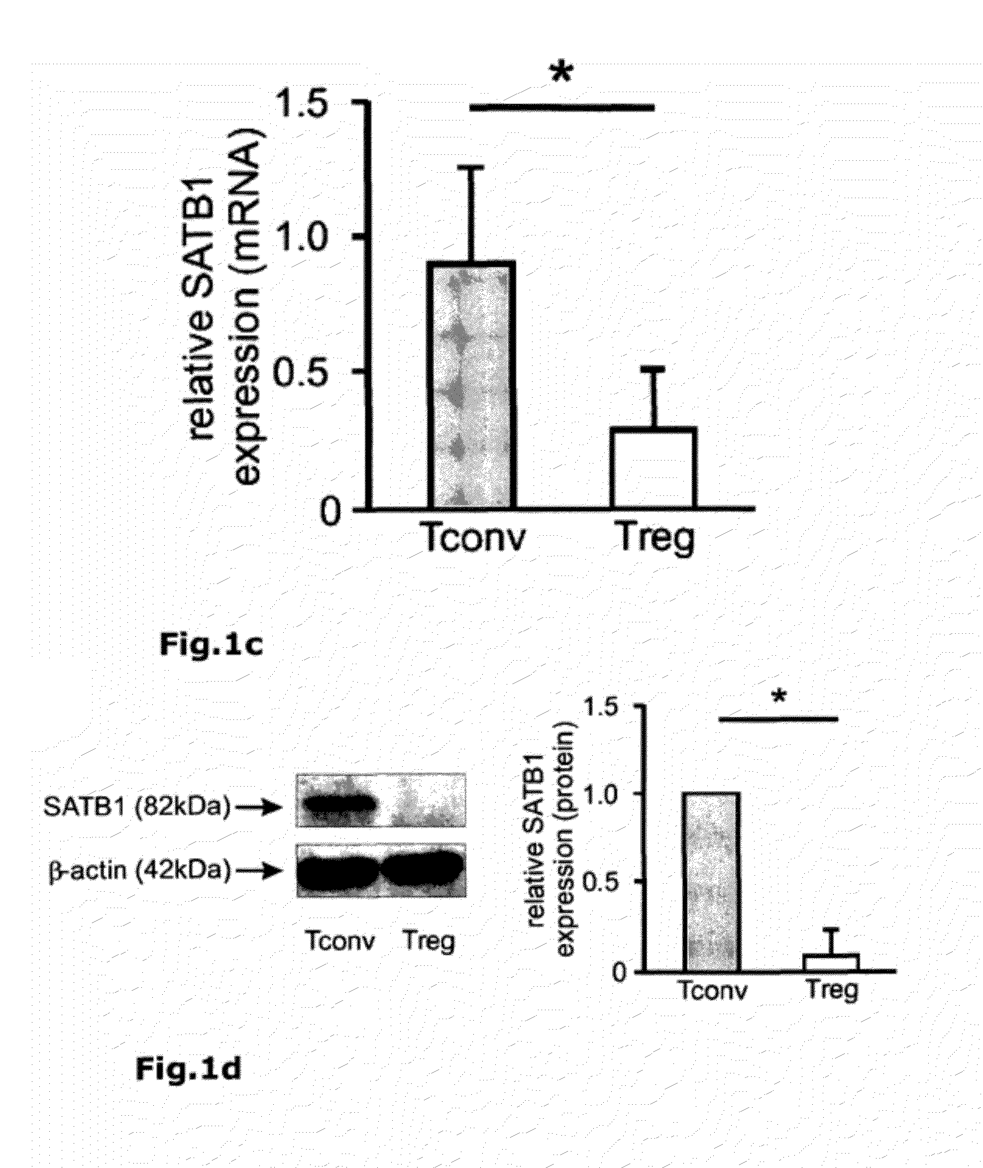 Identification of regulatory t cells via the global gene regulator satb1