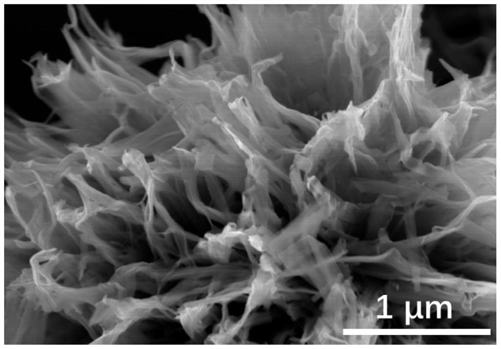 A kind of carbon nitride nanosheet supported indium vanadate quantum dot photocatalyst and its preparation and application