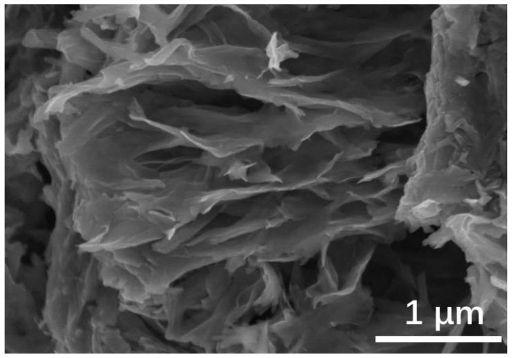 A kind of carbon nitride nanosheet supported indium vanadate quantum dot photocatalyst and its preparation and application