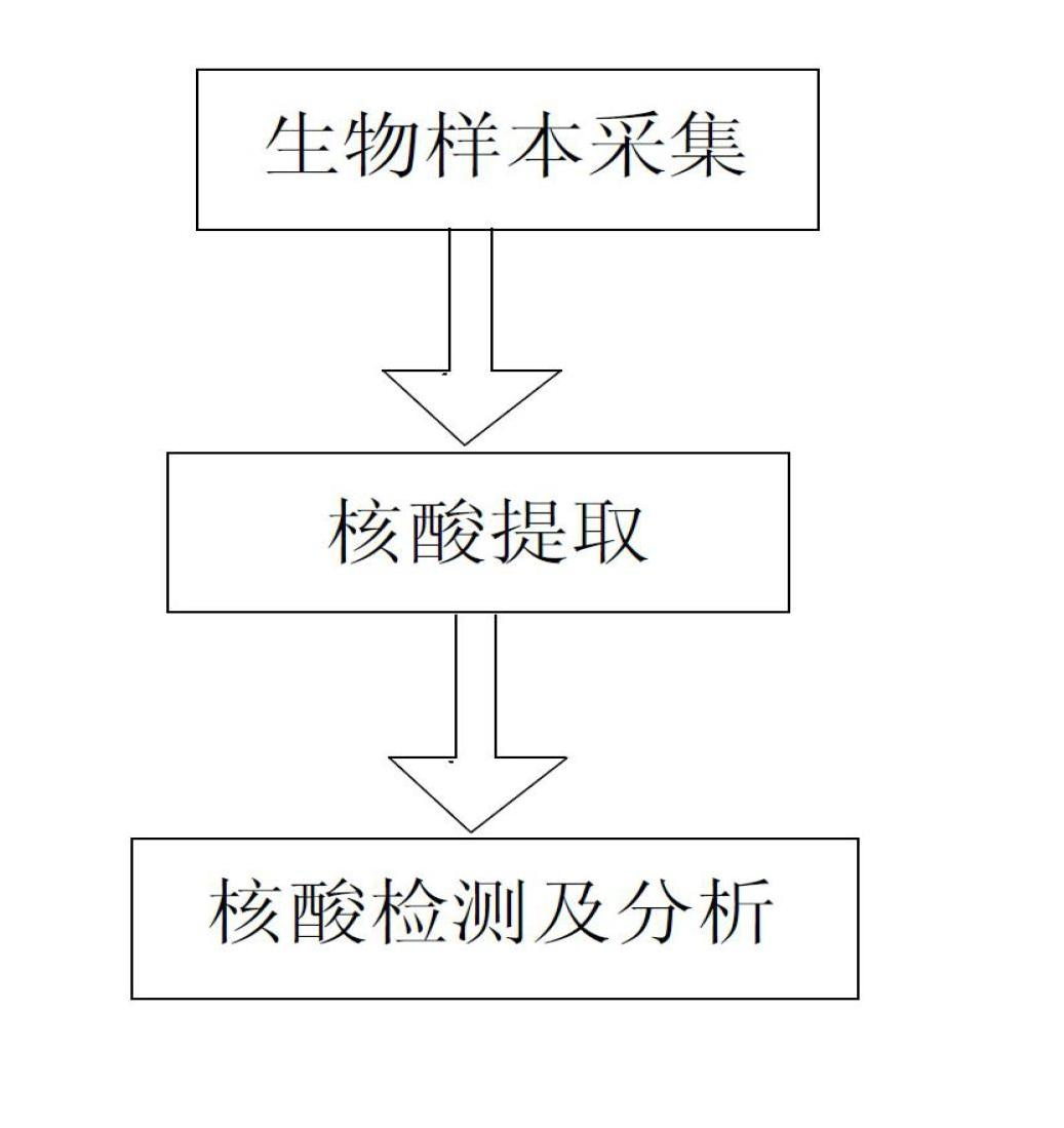 Nucleic acid extraction device capable of preventing cross-contamination