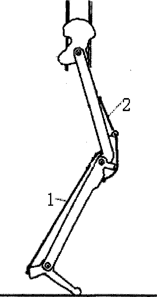 Sport shoes and trousers system simulating and reinforcing function of lower limbs gastrocnemius