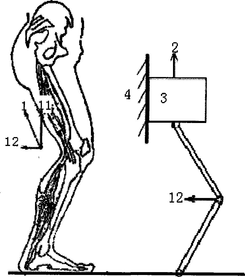 Sport shoes and trousers system simulating and reinforcing function of lower limbs gastrocnemius