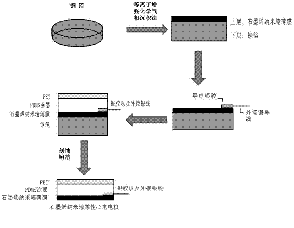 Graphene nanowall flexible electrocardio-electrode and preparation method thereof