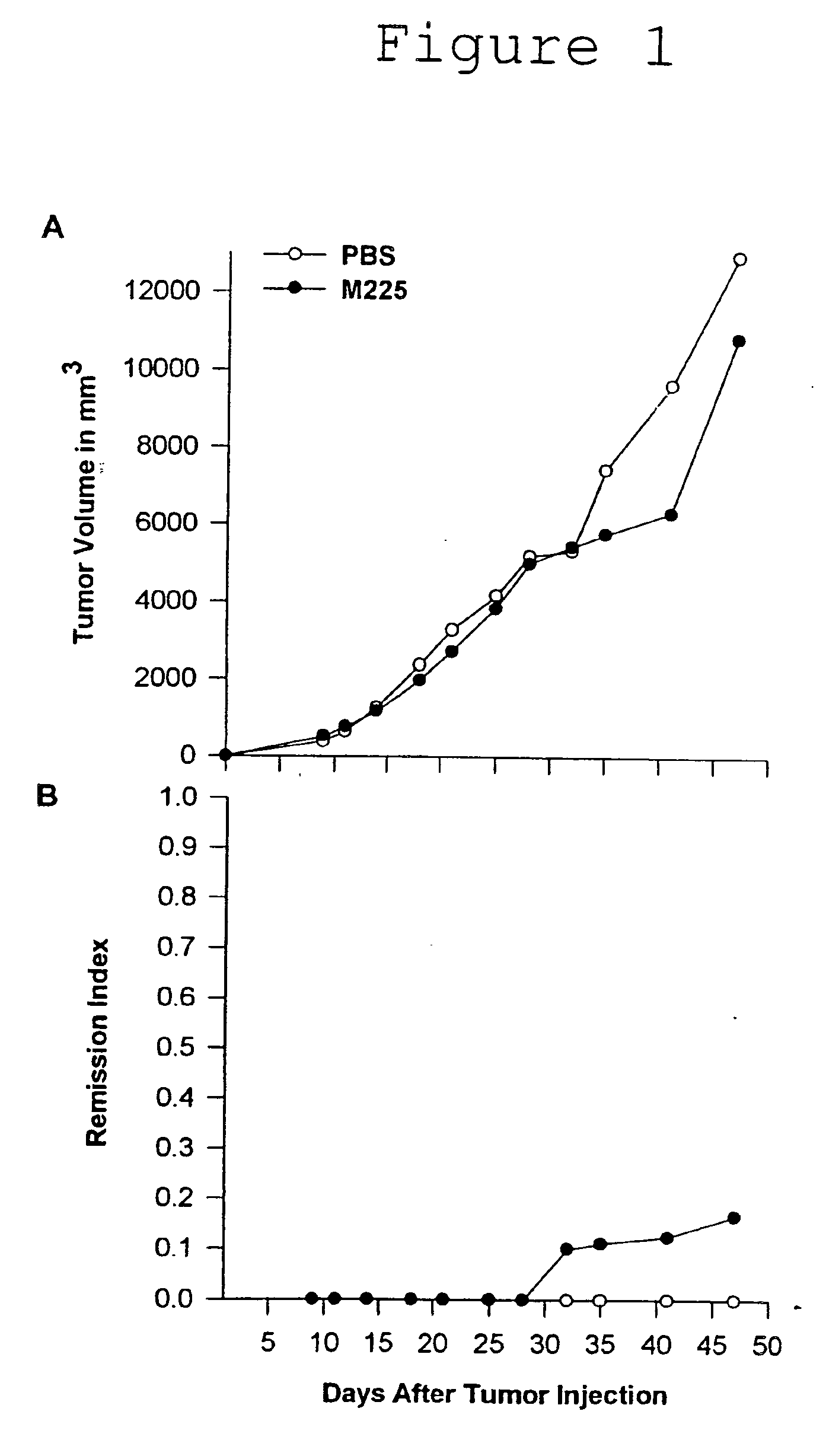 Antibody and antibody fragments for inhibiting the growth of tumors