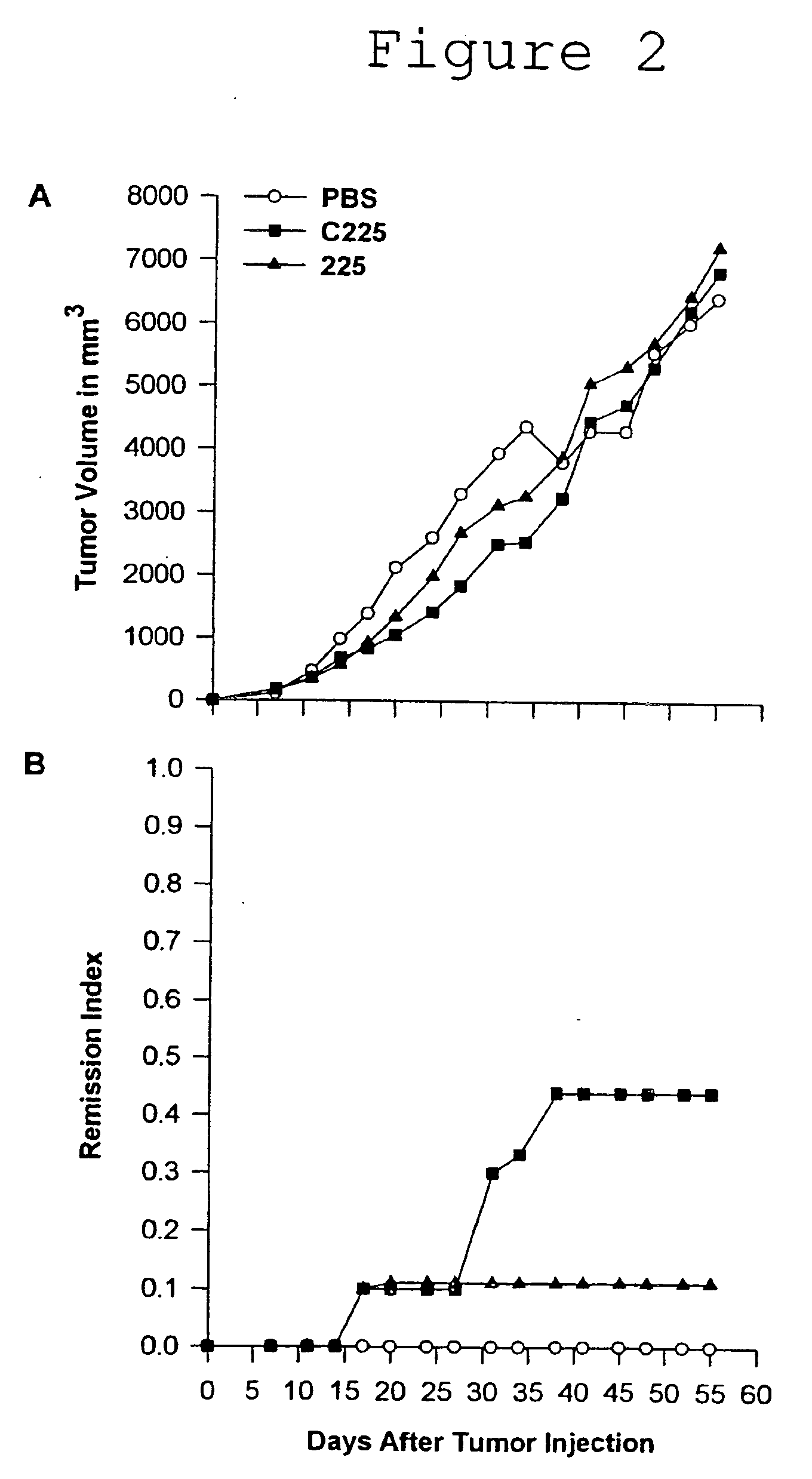 Antibody and antibody fragments for inhibiting the growth of tumors