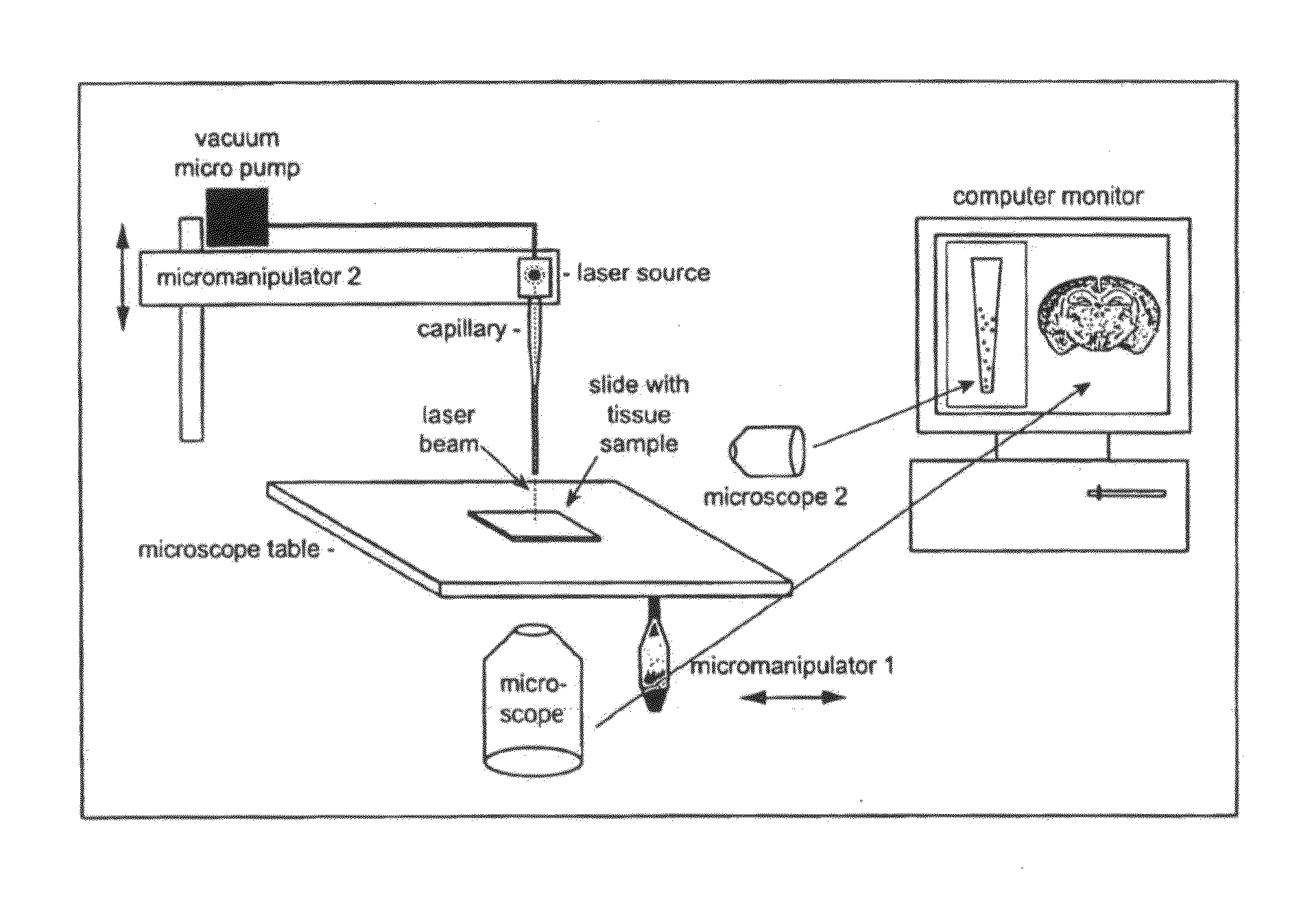 Capillary-based cell and tissue acquisition system (CTAS)