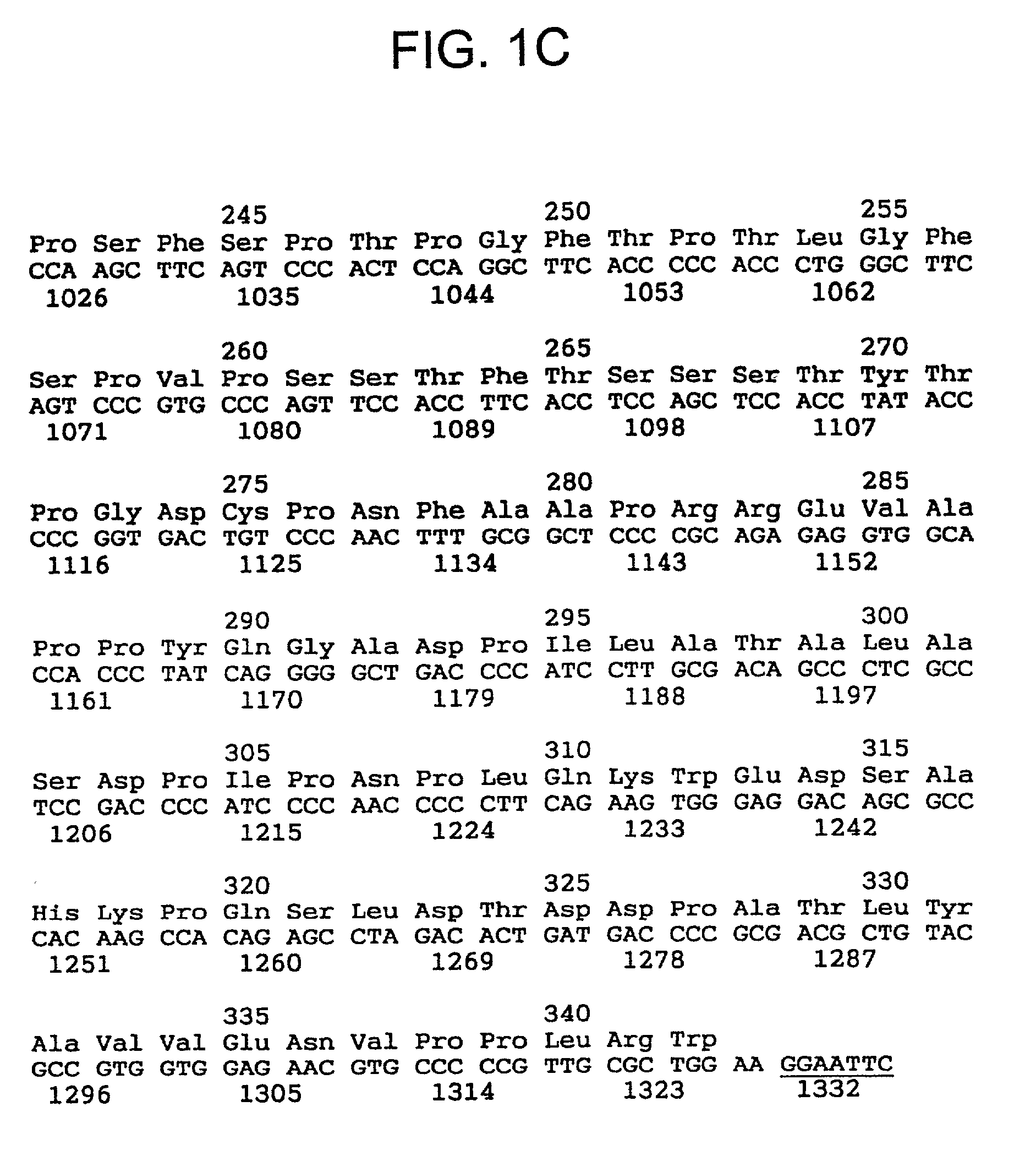 TNF binding proteins