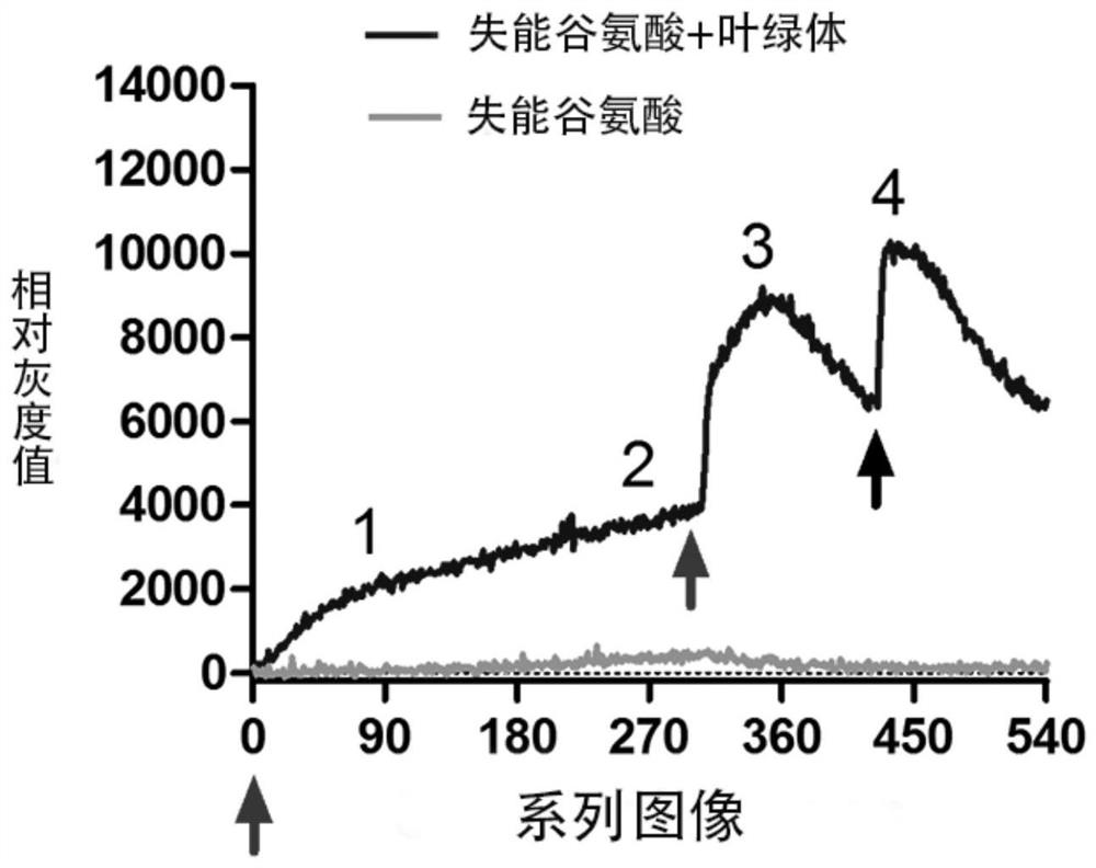 Application of Technology to Increase Biomolecular Molecular Energy Commonality Using Photosynthetic Reaction