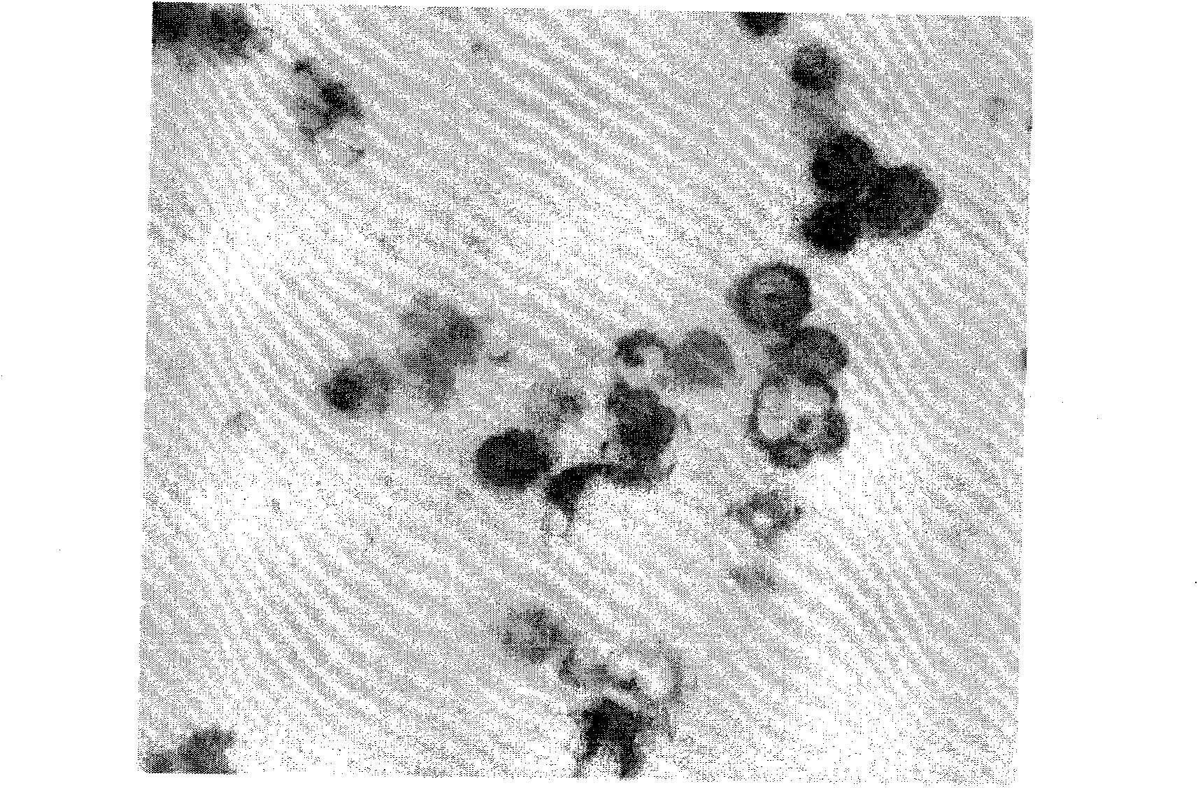 In-situ hybridization detection kit and detection method for PTEN gene, and application of kit