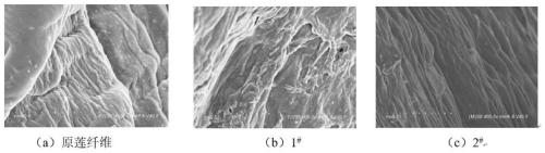 Method for improving mechanical property of lotus fiber