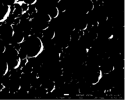 Phase-change energy-storage polyurethane foam and preparation method thereof