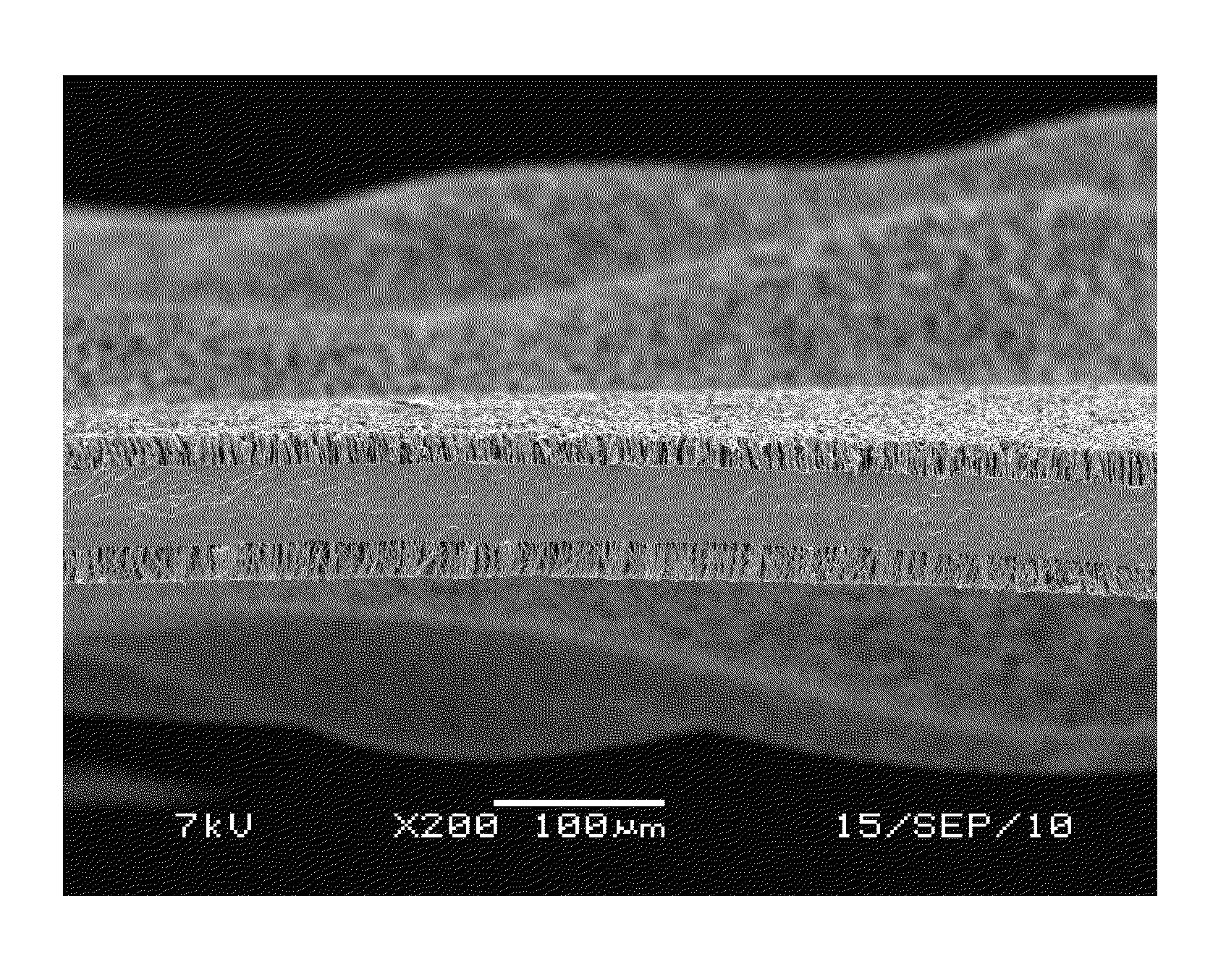 Adhesive structure with stiff protrusions on adhesive surface