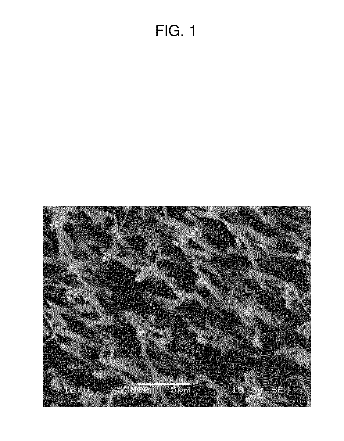 Adhesive structure with stiff protrusions on adhesive surface