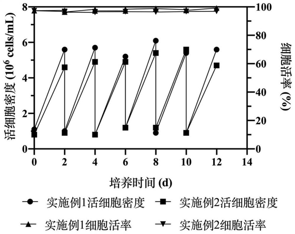 Suspension culture domestication method of MDCK cell line