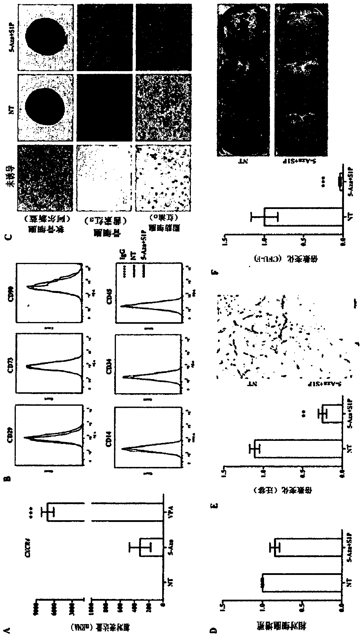 Composition for promoting stem cell activity, comprising histone deacetylase inhibitor and priming factor as active ingredients