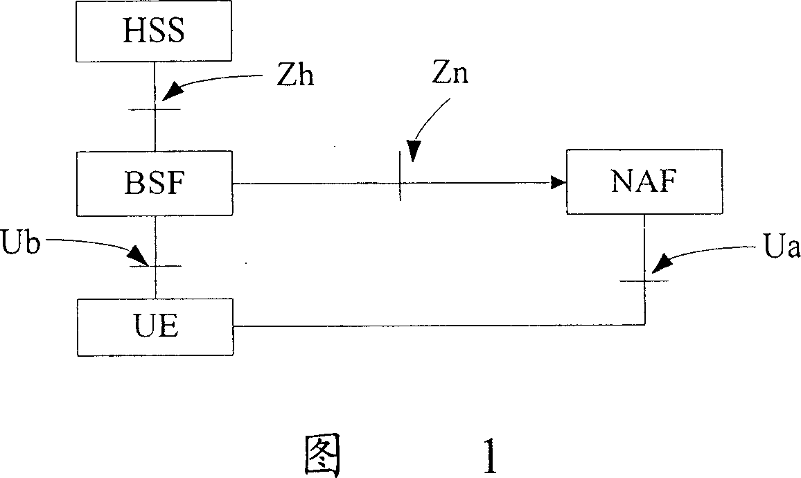 Method and system for confirming identification using key when user accessing identification proxy