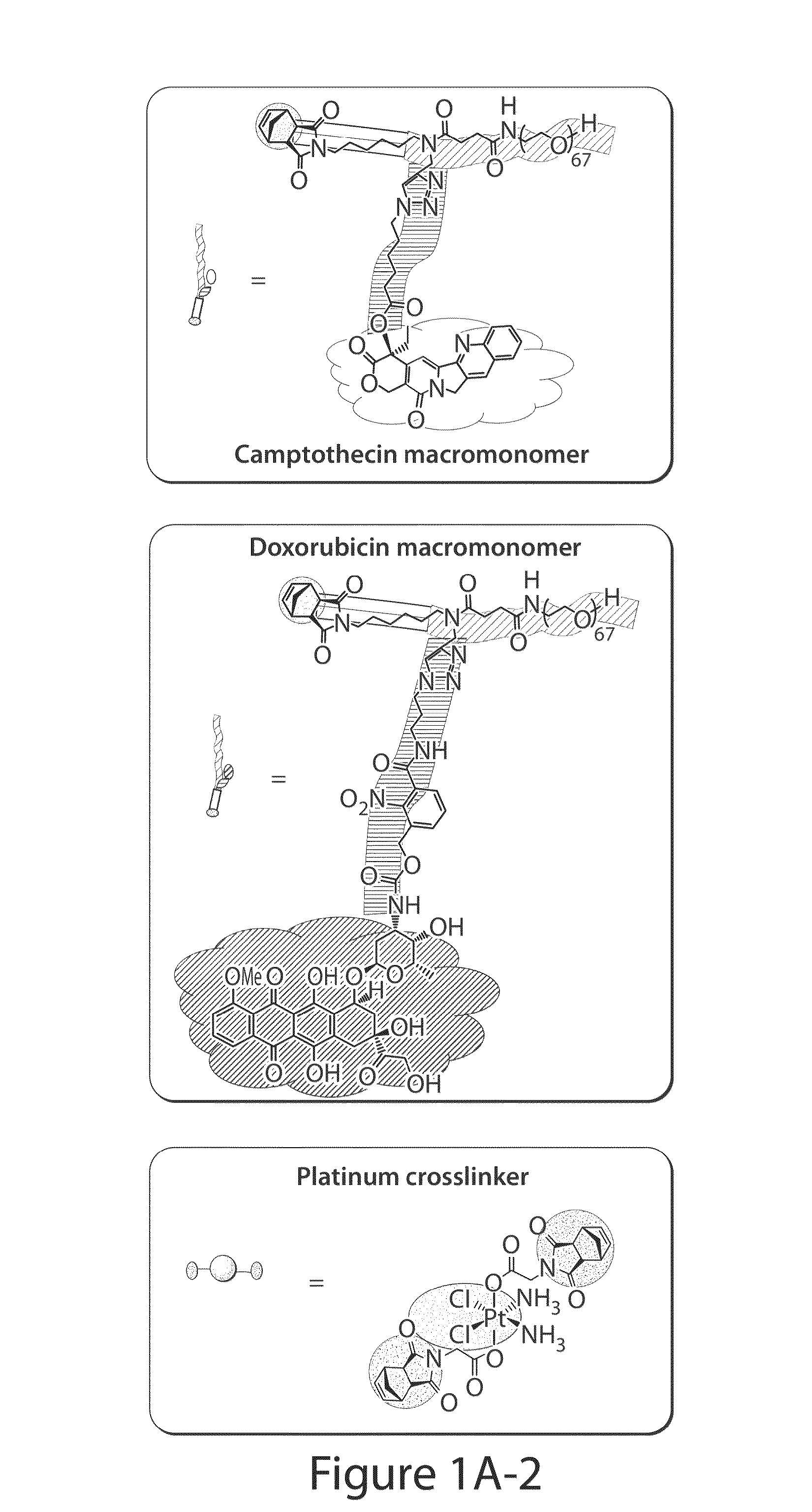 Drug delivery polymer and uses thereof