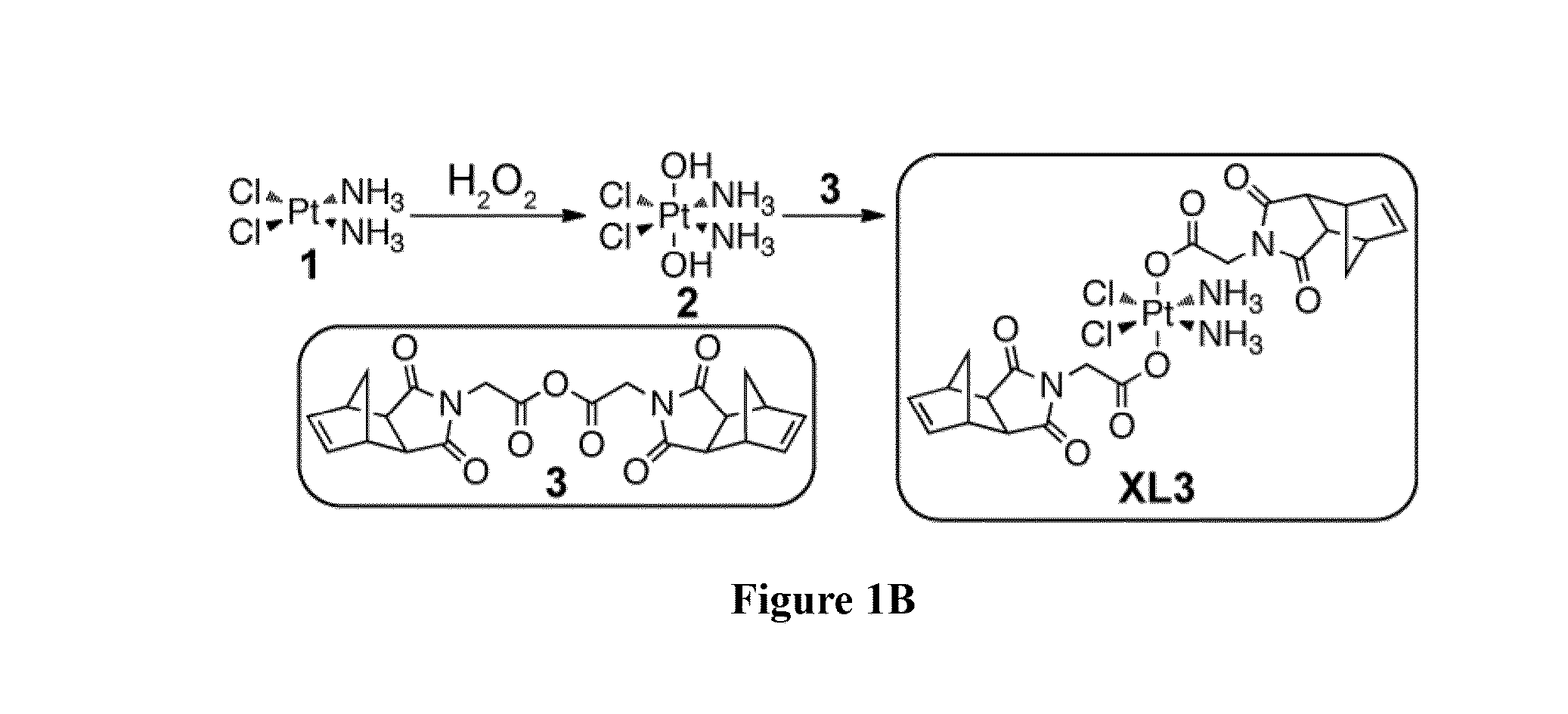 Drug delivery polymer and uses thereof