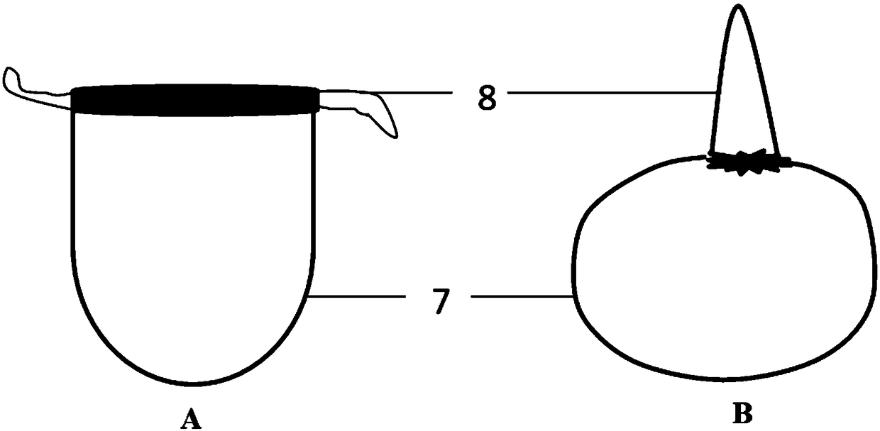 Device and method for lab rearing of fruit fly parasitic wasps