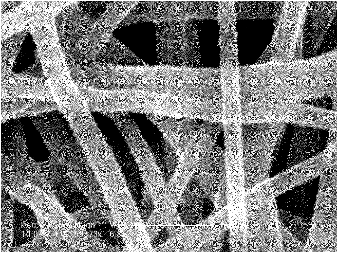 Self-supporting super capacitor electrode material and preparation method thereof