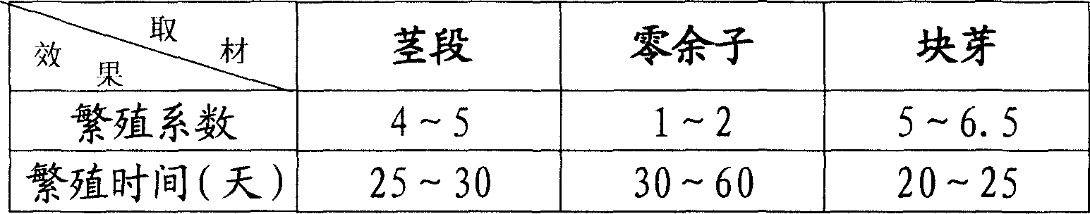 Tissue culturing method for Chinese yam