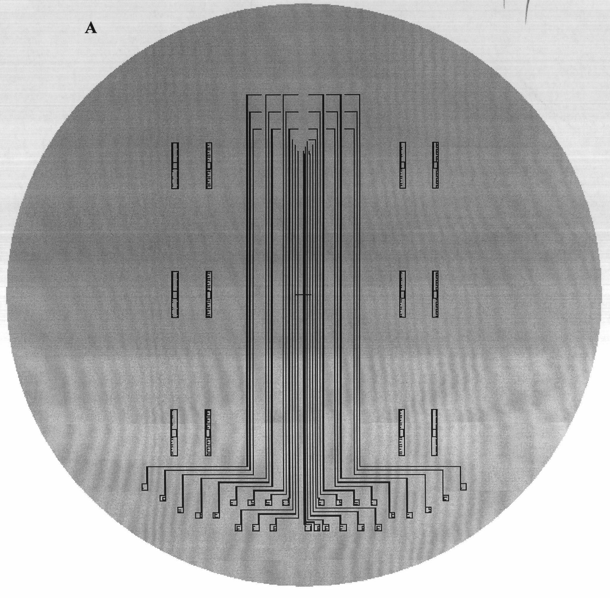 Micro-nano fluid system and preparation method thereof