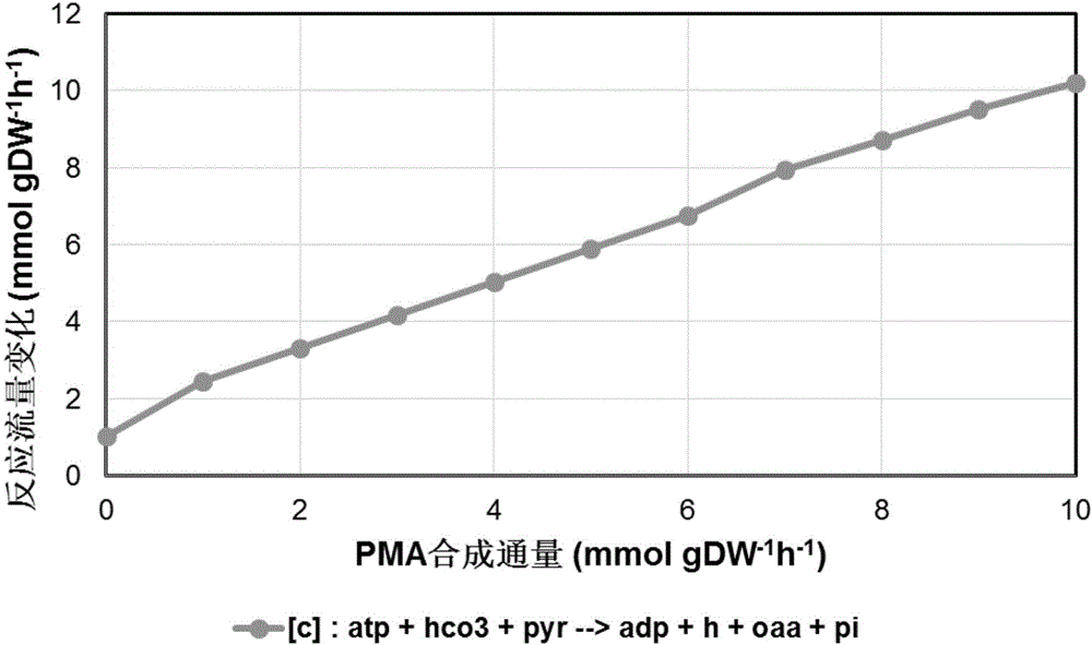 Aureobasidium pullulans genome scale metabolism network model and application thereof