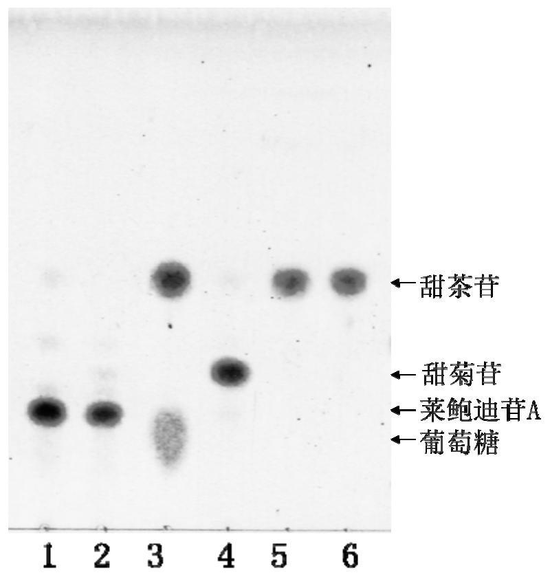 A novel high-efficiency β-glucosidase csbgl and its coding gene and application