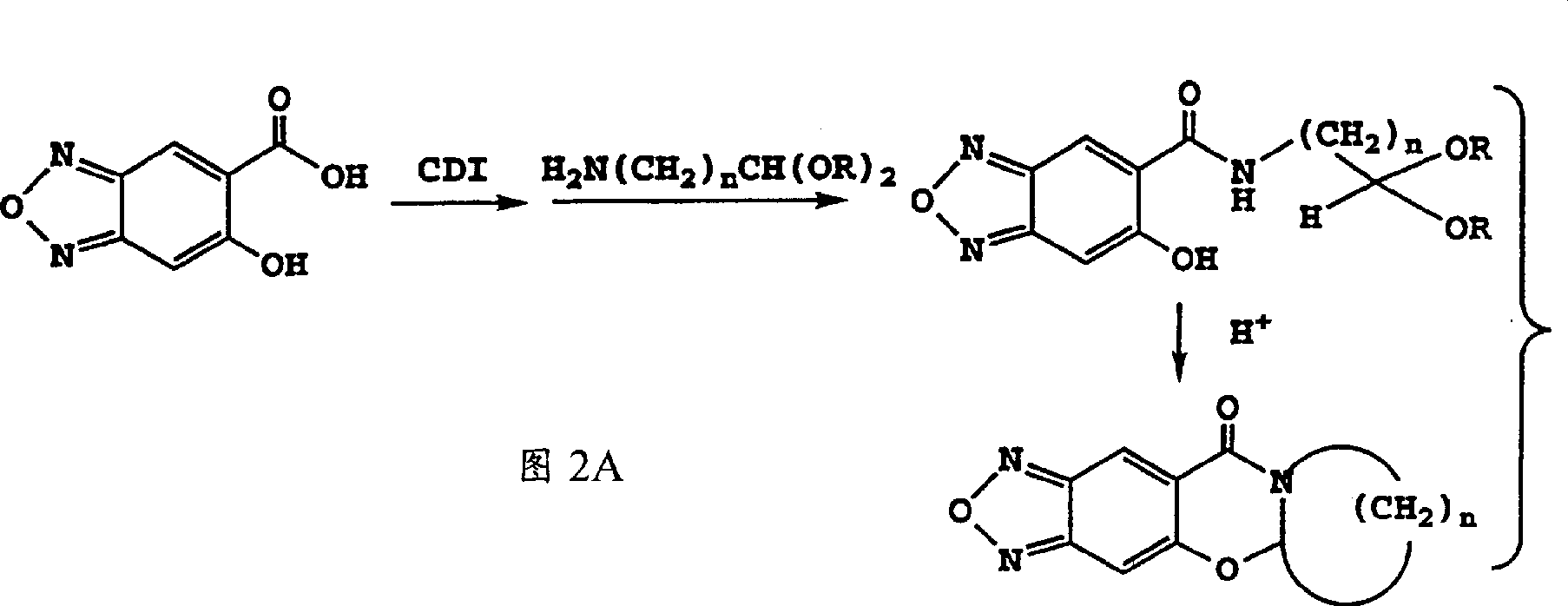 Benzofurazan compounds which enhance AMPA receptor activity