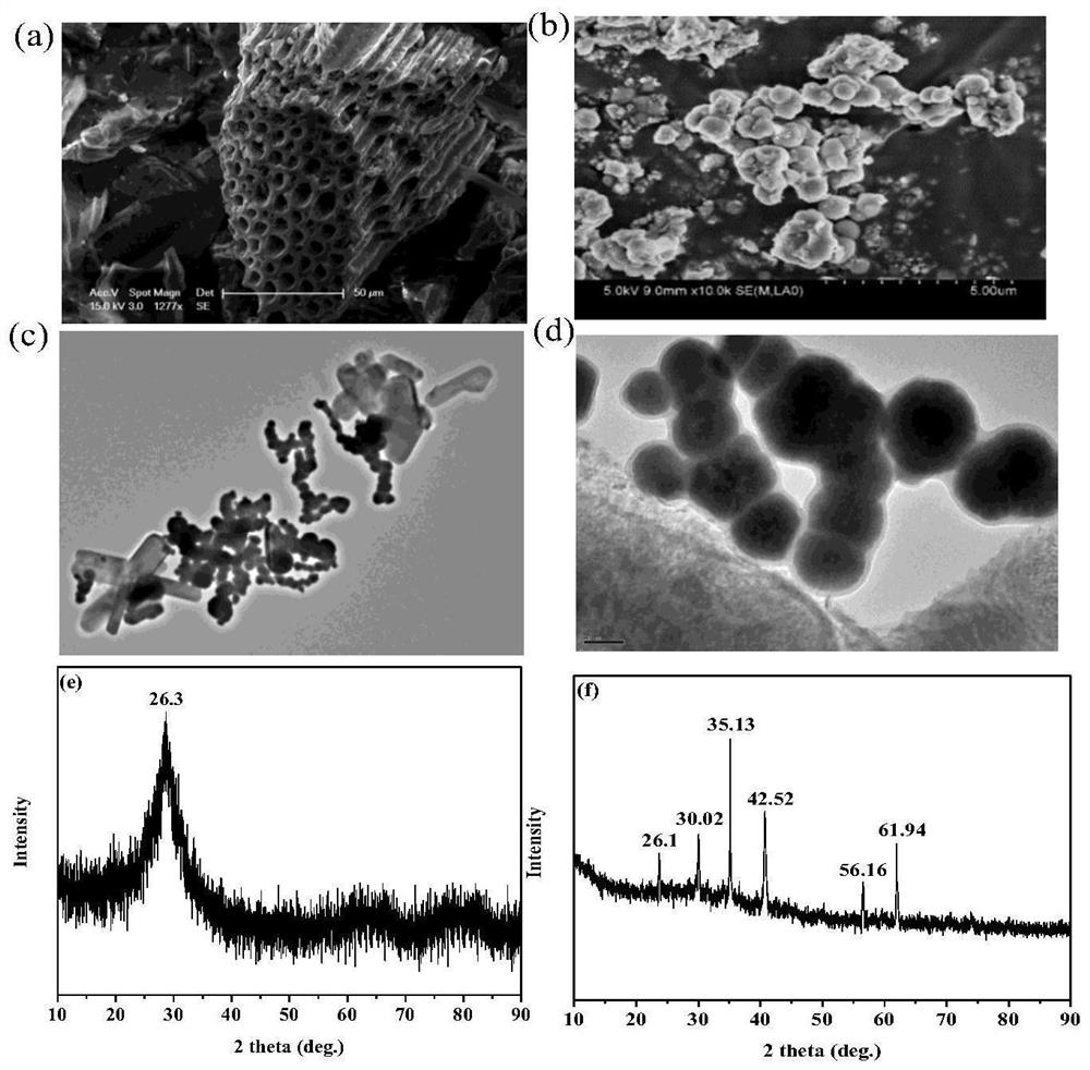 Method for improving methane gas yield of anaerobic digestion of sludge and reducing ecological toxicity of heavy metals