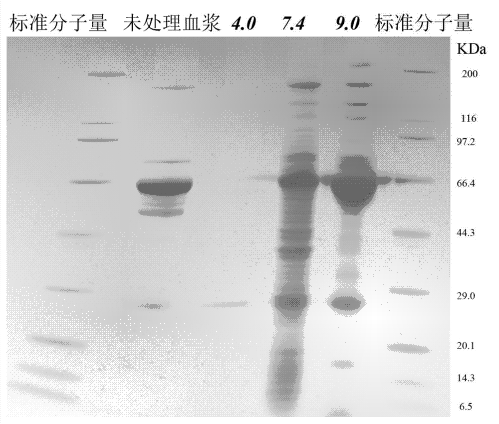 Proteome sample pretreatment method based on novel nanometer composite material, and applications thereof