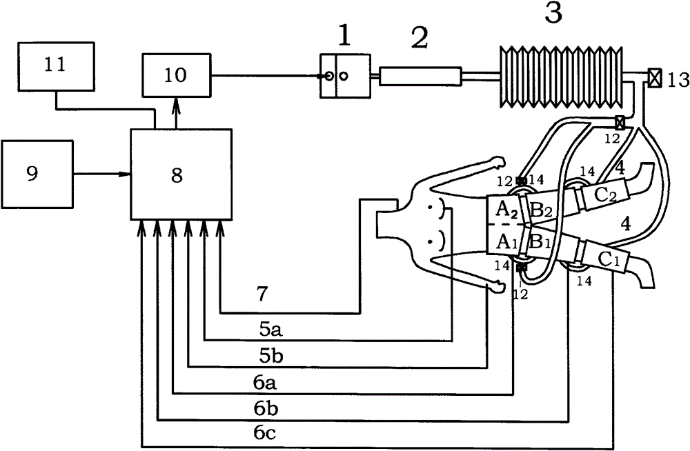 Closed pneumatic type in-vitro positive pulsation and counter pulsation device for servo control and action