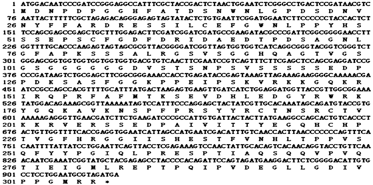 Rubber tree HbWRKY83 gene and application thereof