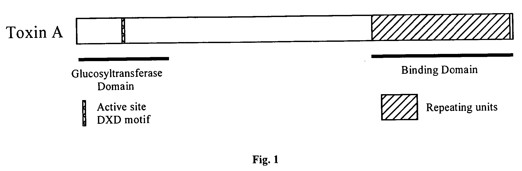 Recombinant toxin A and toxin B protein carrier for polysaccharide conjugate vaccines