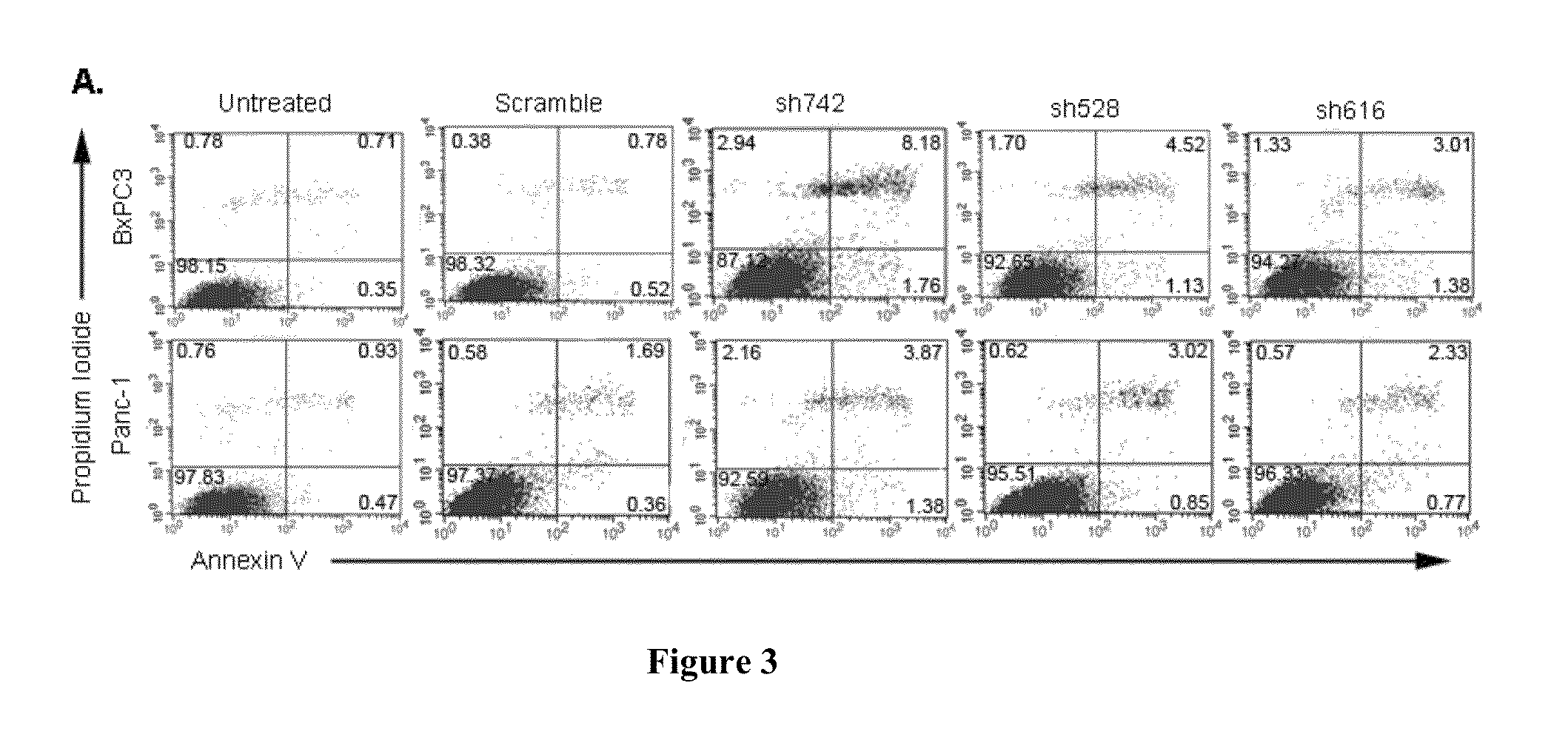 QSOX1 as an Anti-Neoplastic Drug Target