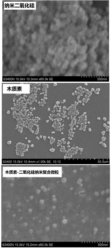 Lignin-silicon dioxide nanocomposite particle as well as preparation method and application of lignin-silicon dioxide nanocomposite particle