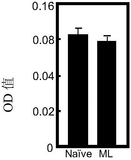 Medicine for treating chronic hepatitis B virus infection