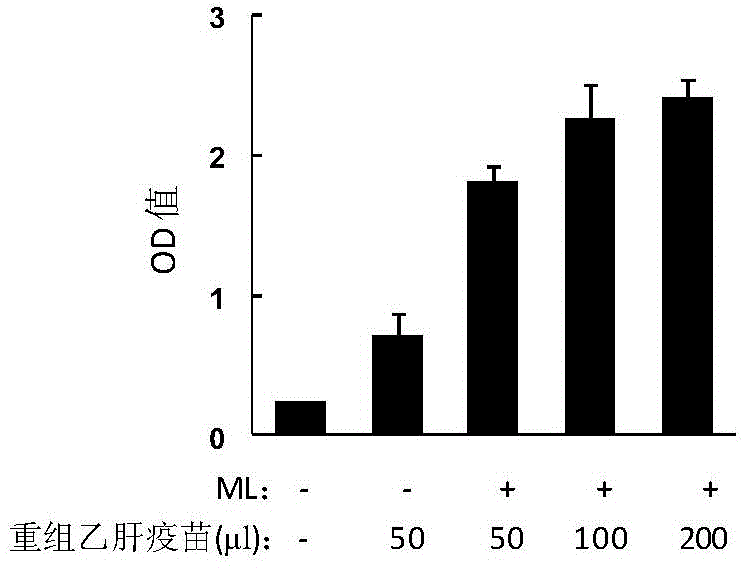 Medicine for treating chronic hepatitis B virus infection