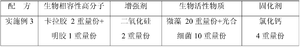 Preparation method and technology of efficient phosphorus removal and denitrification biological material