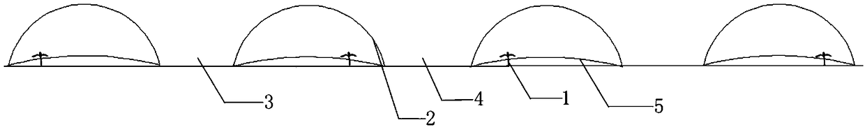 Method for cultivating watermelons in imitated northwest natural environment