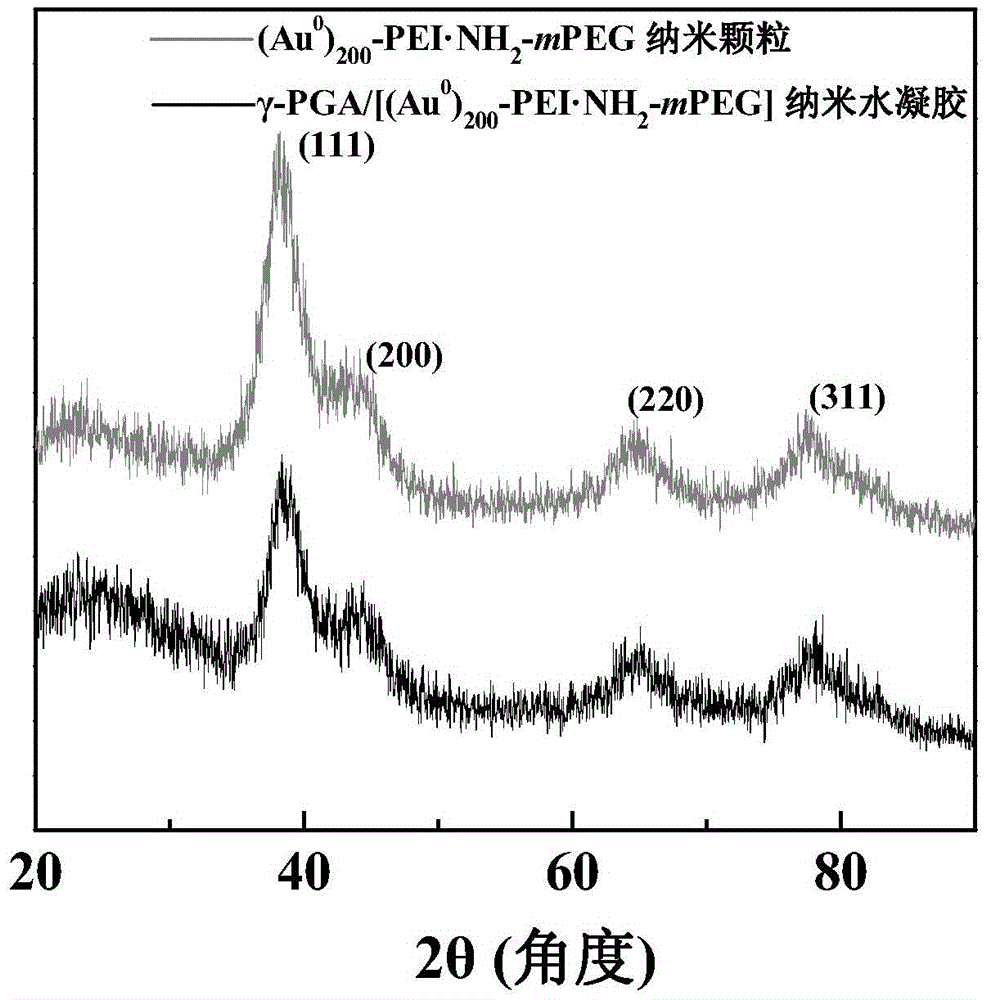 Preparation method of gamma-PGA (polyglutamic acid) hydrogel loaded with Au nanoparticles