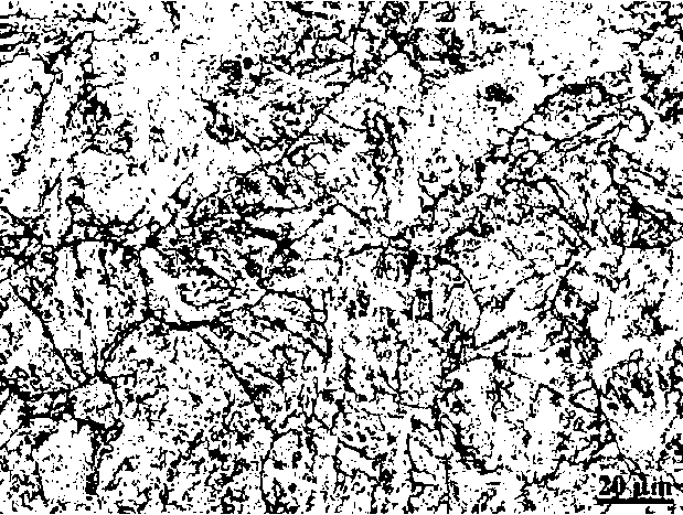 Metallographic corrosion method for clearly displaying original austenite grain boundary of NiCrMoV type rotor steel