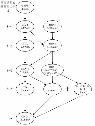 Plugging Method and Control System for Drilling Reservoir Fractures