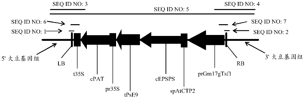 Nucleic acid sequence and method for detecting herbicide-tolerant soybean plant dbn9004