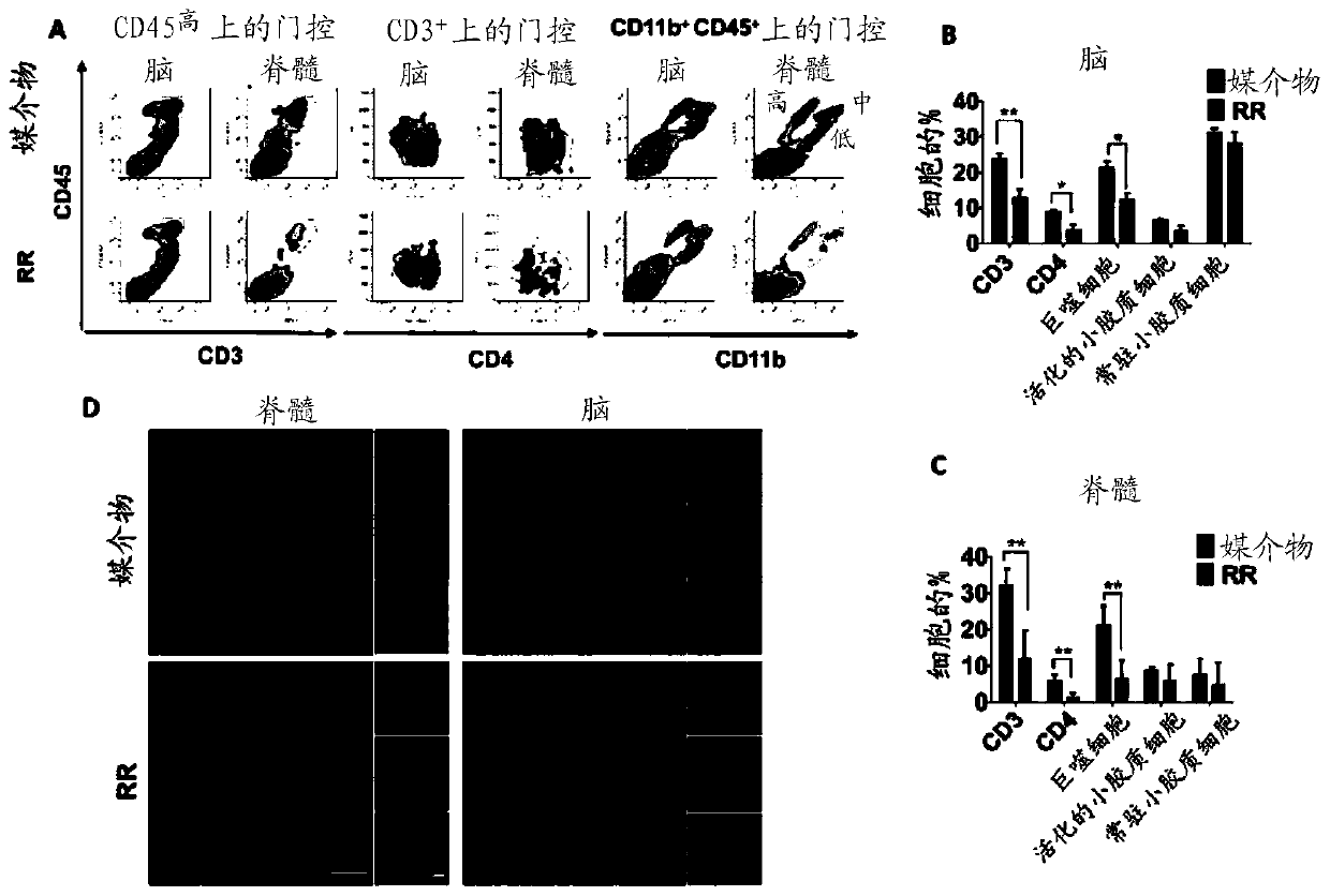 Extracts from Rehmannia glutinosa as a therapeutic agent for multiple sclerosis